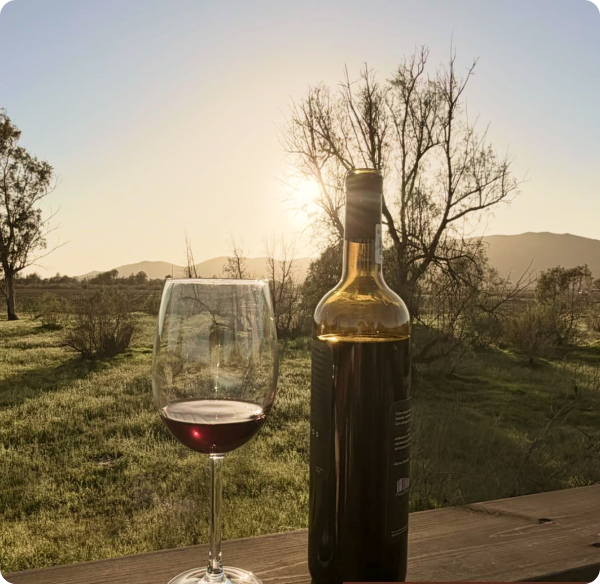 RUTAS DEL VINO